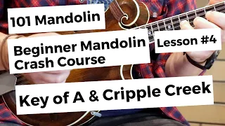 Cripple Creek: Beginner Mandolin Lesson