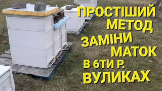 Самий надійний метод. Зимівля бджіл. #пчеловодствов6тирамочныхульях