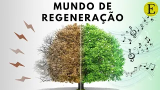 MUNDO DE REGENERAÇÃO   |   Evoluir 194