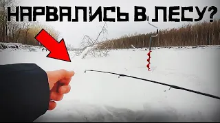 РАЗБУРИЛИ ЗАМЁРЗШИЙ ЛЕС! Кто клюёт в ФЕВРАЛЬСКИХ КОРЯГАХ? Зимняя рыбалка 2024 с НОЧЁВКОЙ!