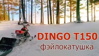 Снегоход Dingo T150, эксплуатация. ФВД - фэйлокатушка выходного дня,  Колягино-Минжуль-НЕвидовка