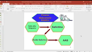 Química de Produtos Naturais e novas perspectivas na Química Medicinal Moderna 2020