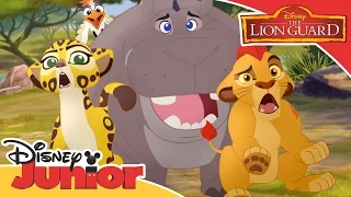 The Lion Guard - Move the Bees | Official Disney Junior Africa