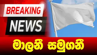 BREAKING NEWS | Special sad news Issued about malani | ADA DERANA NEWS | HIRU NEWS