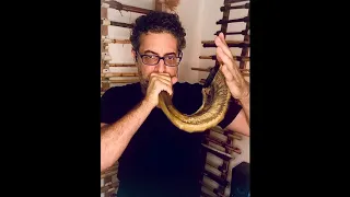 Shofar blessing