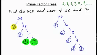 Prime factor trees - finding HCF + LCM (N)