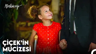 Vicdan ile Mutluluğun Arasındayım - Ateşböceği 14. Bölüm