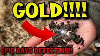 A dream day!! GOLD COIN - TRIPLE SILVER and RELICS with the XP DEUS 2 version 2.0 metal detecting!!