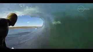 shark photobomb surf