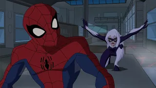 The Spectacular Spider-Man meets Black Cat