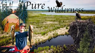 25 Day Wild Camping Adventure in the North Wilderness - Ep. 7 Bald Eagles Epic Fishing Catch Cook