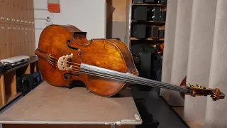 MEET THE MUSICIANS (SPECIAL): Der Guarneri-Bass