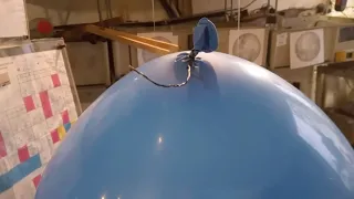 Duży balon gumowy ma wielką wyporność i obala teorię grawitacji na płaskiej Ziemi