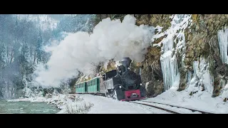 Mocanita Maramures ( tour on steam train in Romania)