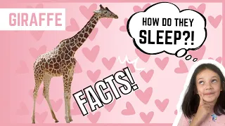 GIRAFFE | Animal Fun Facts | (For Kids)