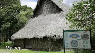 Primer Simposio Internacional Vitamina N. | Jardín Botánico de Bogotá