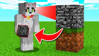 Paso Minecraft pero ME DAN LOS BLOQUES que MIRO 😱😂 Invictor y Acenix