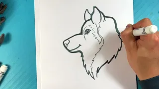 EASY How to Draw a DOG - HUSKY