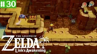 The legand of Zelda Link's Awakening #30