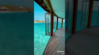 Maldives - tiktok