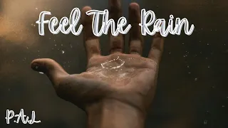 P.A.L. Feel The Rain. Lyric Video.