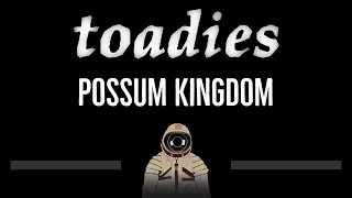 Toadies • Possum Kingdom (CC) 🎤 [Karaoke] [Instrumental Lyrics]