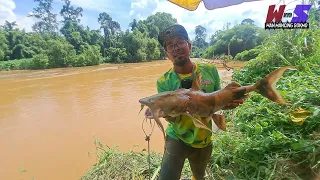 Mancing ikan besar | sungai jelai kuala lipis #wms-316