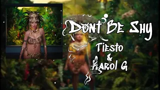 Tiesto & Karol G -Dont Be Shy (Audio)