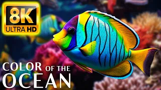 Colors Of The Ocean 8K Video ULTRA HD - The best sea animals for relaxing and soothing music #14