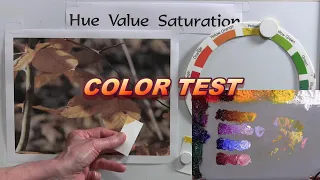 Quick Tip 286 - Color Test