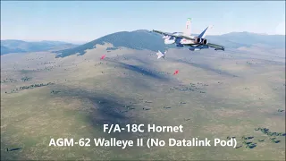 F/A-18C AGM-62 Walleye II (No Datalink Pod) Guide | DCS World