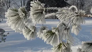 ♡ Мне от любви становится теплее... Эдгар Туниянц - О ней поют поэты.