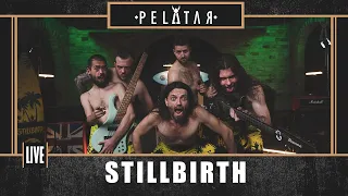Stillbirth // PELATAR LIVE