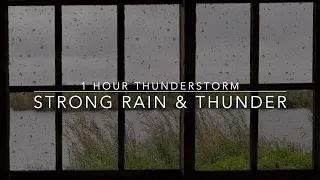 Strong Rain & Thunder Sounds for Sleeping - Windy Rain on a Window - 1 hour Thunderstorm - Rain ASMR