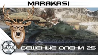 World of Tanks приколы 2015, бешеные олени, им плевать на остальных wot 25