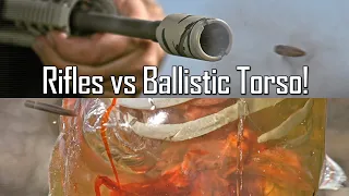 Rifles VS Ballistic Torso! - Ballistic High-Speed