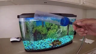 HOW TO Vacuum your FISH TANK GRAVEL