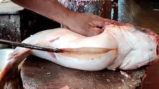 Amazing New Style Cutting | Big Pangas Fish Cutting in Bangladesh Fish Market