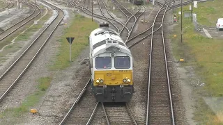 Euro Cargo Rail Class 66 EMD JT42CWR running solo in the yard