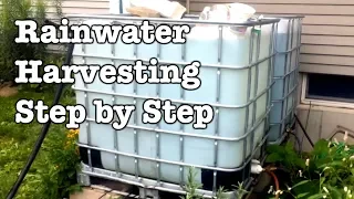 Rainwater Collection - Step by Step installation of IBC totes