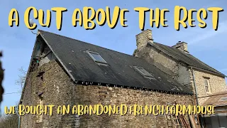 A CUT ABOVE THE REST- NO 155-We Bought An Abandoned Farmhouse. #renovation #homestead #simpleliving