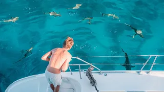 Surrounded by SHARKS 🦈 Let's Go SWIM!