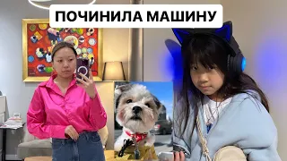 МОИ БУДНИ перед ОТПУСКОМ! Занятия с КИНОЛОГОМ! Покупки для ДОМА!