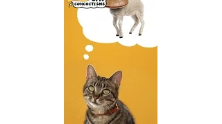 Cat Concoctions® Wet Cat Food | Friskies® Commercial :30