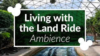Living with the Land Ambience | Disney World Epcot Living with the Land Ambience