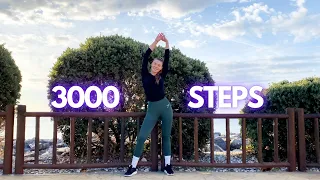 3000 Steps Walking Workout// Sweaty Walking Workout