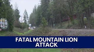 Mountain lion attack kills 1 man