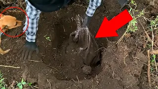 Cachorro encontrou um SACO MISTERIOSO que estava enterrado e nos deixou CHOCADO !!! [ Jack Charles ]