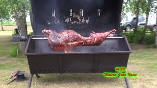 Жарим кабана на вертеле. Cūka uz iesma, mežacūka uz iesma,We roast the wild boar on a spit.