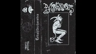 Morkesis - Tetrahidroharmina